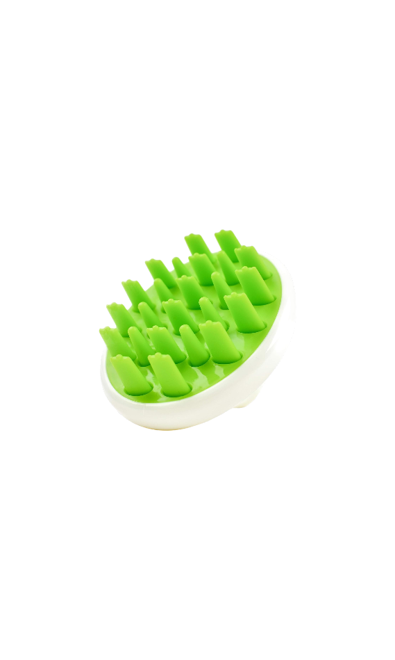 Zyllion Scalp Massager Dandruff Brush and Hair Growth
